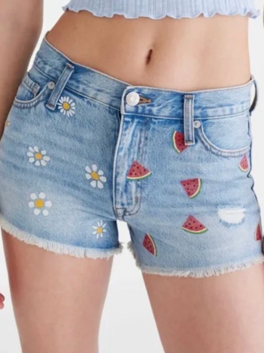 AERO Vintage High-Rise Shorty Daisy & Watermelon Embroidered Shorts size 00